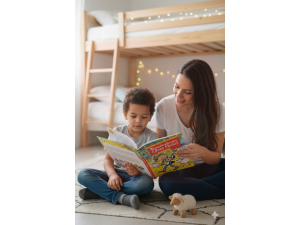 Livro As Traquinagens De João Grilo 